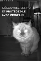 Distributeur automatique de croquettes pour chat - Repas programmés, esprit tranquille