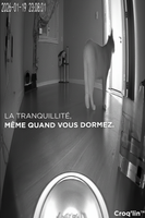 Distributeur automatique de croquettes pour chat - Repas programmés, esprit tranquille